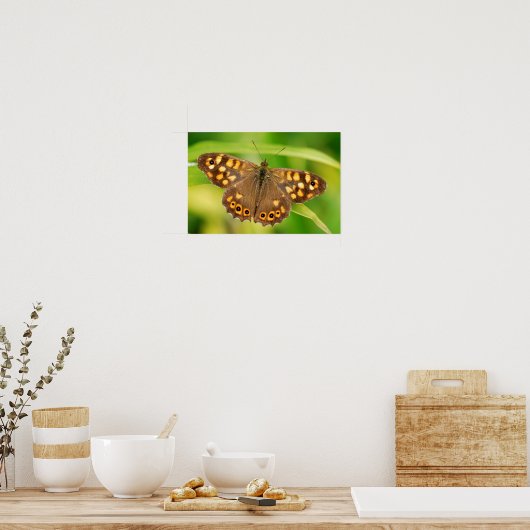 斑状木蝶 ポスター (キッチン)