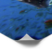 斑状線 ポスター (角)