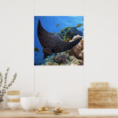 斑状線 ポスター (キッチン)