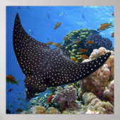 斑状線 ポスター (正面)