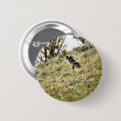 斑状、道路の歌を横断しない 缶バッジ (正面&裏面)