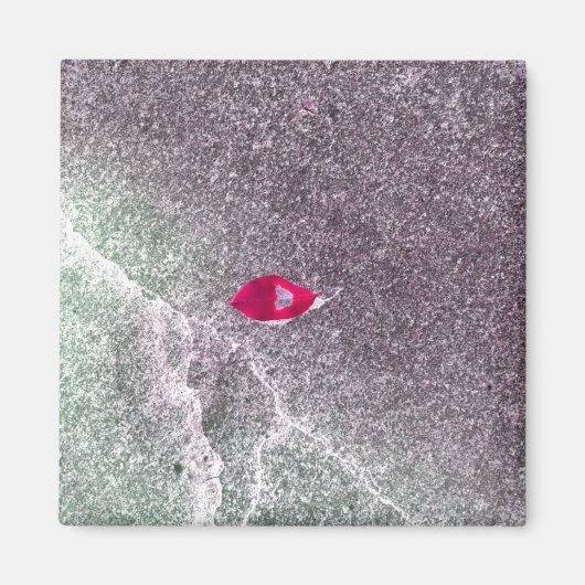 斑砂の赤い葉 マグネット (正面)