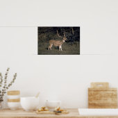 斑鹿 ポスター (キッチン)