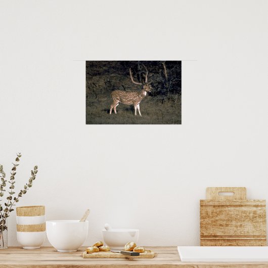 斑鹿 ポスター (キッチン)