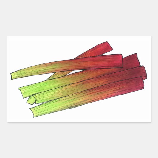 料理のルバーブ茎の野菜ガーデンフード野菜 長方形シール (正面)