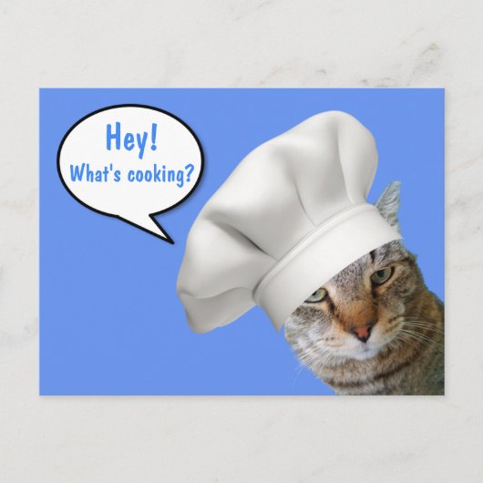 料理はどう？ねこシェフ ポストカード (正面)