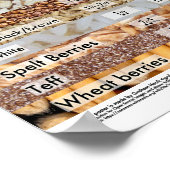 料理バルク粒用ポスター ポスター (角)