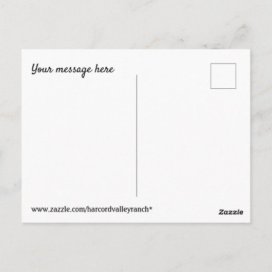 料理教室 ポストカード (裏面)