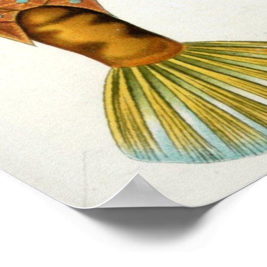 斜視 ポスター (角)