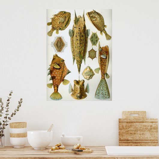 斜視 ポスター (キッチン)