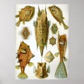 斜視 ポスター (正面)