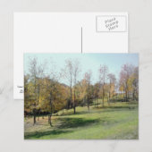 斜面2004の木フォトポストカード ポストカード (正面/裏面)