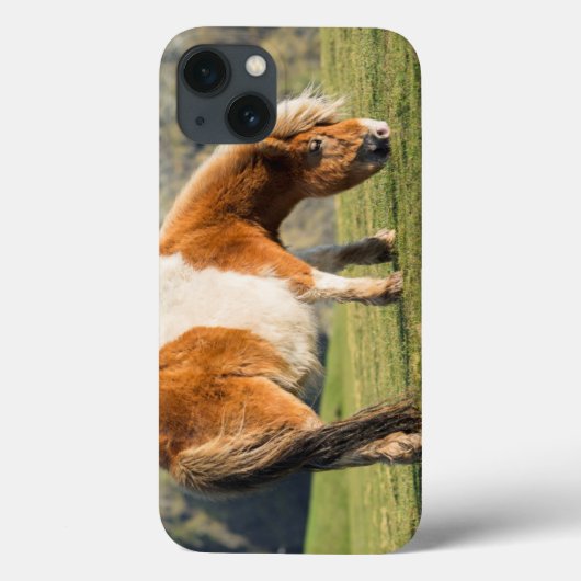 断崖近くにある牧草地のシェトランドポニー Case-Mate iPhoneケース (裏面)