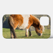 断崖近くにある牧草地のシェトランドポニー Case-Mate iPhoneケース (裏面 (横))