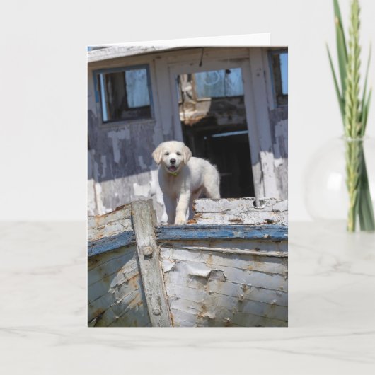 断念されたタグボートのゴールデン・リトリーバーの子犬 カード (正面)