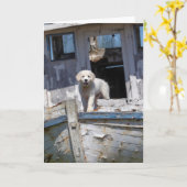 断念されたタグボートのゴールデン・リトリーバーの子犬 カード (黄色い花)