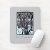 断念された鍵、チェルノブイリ マウスパッド (マウス)