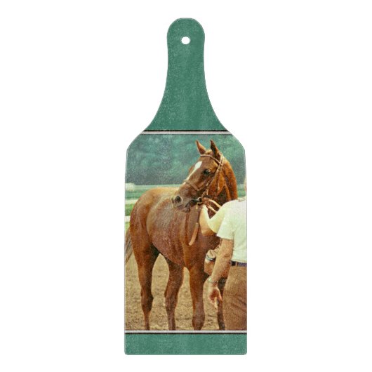 断言された純血種の競馬馬1978年 カッティングボード (正面)