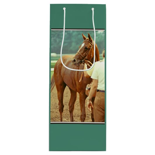 断言された純血種の競馬馬1978年 ワインギフトバッグ (正面)
