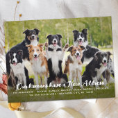 新おもしろいモダン住所カスタムペット犬の写真 案内ポストカード