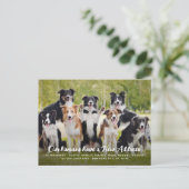 新おもしろいモダン住所カスタムペット犬の写真 案内ポストカード (スタンド正面)
