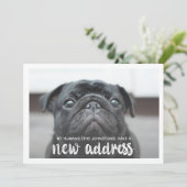 新おもしろいモダン住所ペット犬の写真 招待状 (スタンド正面)