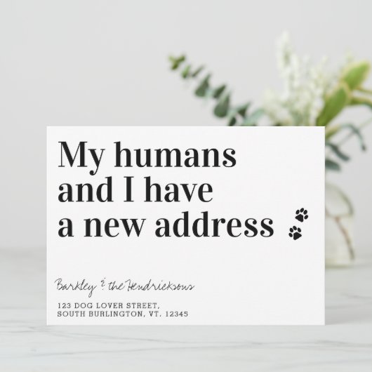 新しいおもしろいアドレス犬ペット移動 案内状 (スタンド正面)