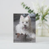 新しいおもちゃを持つバラ ポストカード (スタンド正面)