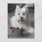 新しいおもちゃを持つバラ ポストカード (正面)