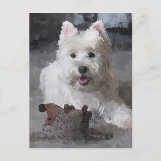 新しいおもちゃを持つバラ ポストカード (正面)