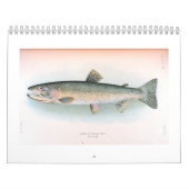 新しいおよび海の魚のカレンダー カレンダー (カバー)