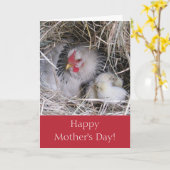 新しいひなのグリーティングカードを持つマザーヘン カード (黄色い花)