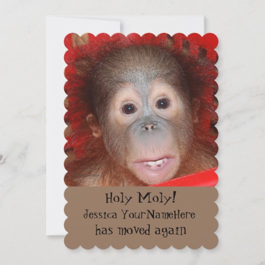 新しいアおもしろいドレス動物ベビー 案内状 (正面)