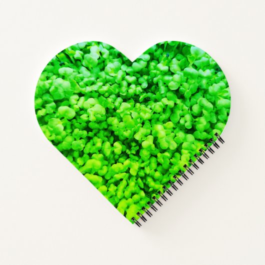 新しいアイディアを起動 ノートブック