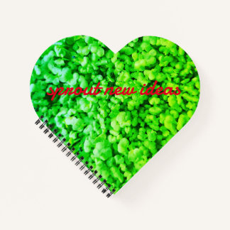 新しいアイディアを起動 ノートブック