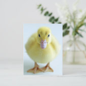 新しいアクリング ポストカード (スタンド正面)