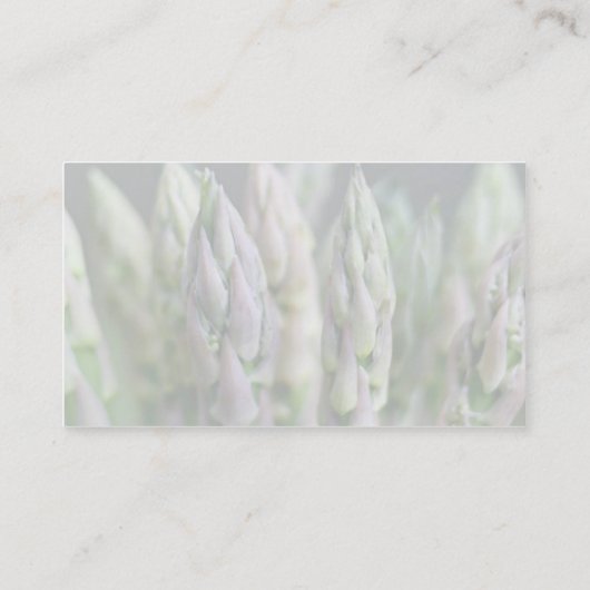 新しいアスパラガス 名刺 (裏面)