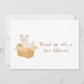 新しいアドレスでボックスアップ！猫の動き 案内状 (正面)