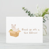 新しいアドレスでボックスアップ！猫の動き 案内状 (スタンド正面)