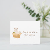 新しいアドレスでボックスアップ！ |猫ホーム引越 ポストカード (スタンド正面)