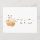 新しいアドレスでボックスアップ！ |猫ホーム引越 ポストカード (正面)