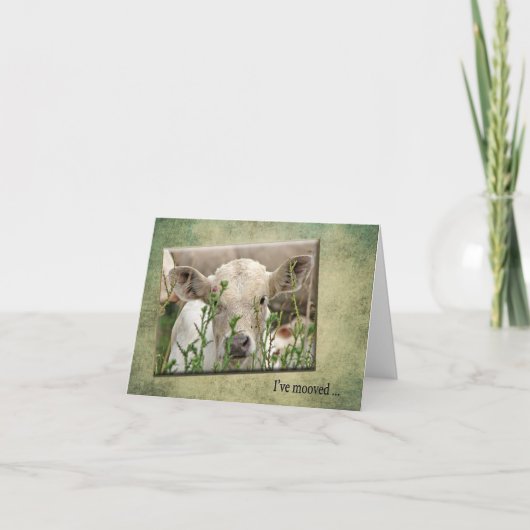 新しいアドレスのお知らせ 案内状 (正面)