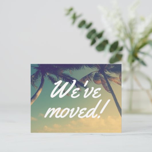 新しいアドレスのPalmツリーの写真はがきを移動 案内ポストカード (スタンド正面)