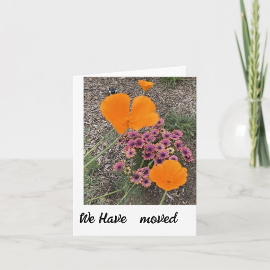 新しいアドレス通知カードを移動した サンキューカード (正面)