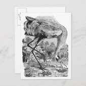 新しいアドレス | ヴィンテージ | 体重 | 百歩鶴 案内ポストカード (正面/裏面)