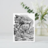 新しいアドレス | ヴィンテージ | 体重 | 百歩鶴 案内ポストカード (スタンド正面)