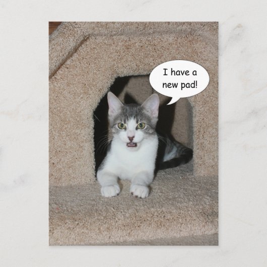 新しいアドレス 案内ポストカード (正面)