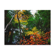 新しいイギリス郵便はがきの秋