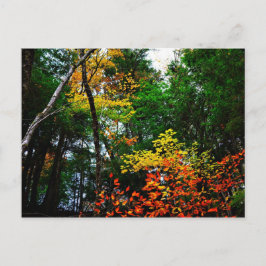 新しいイギリス郵便はがきの秋 ポストカード