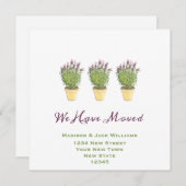 新しいエレガント住所 |お知らせ (正面/裏面)